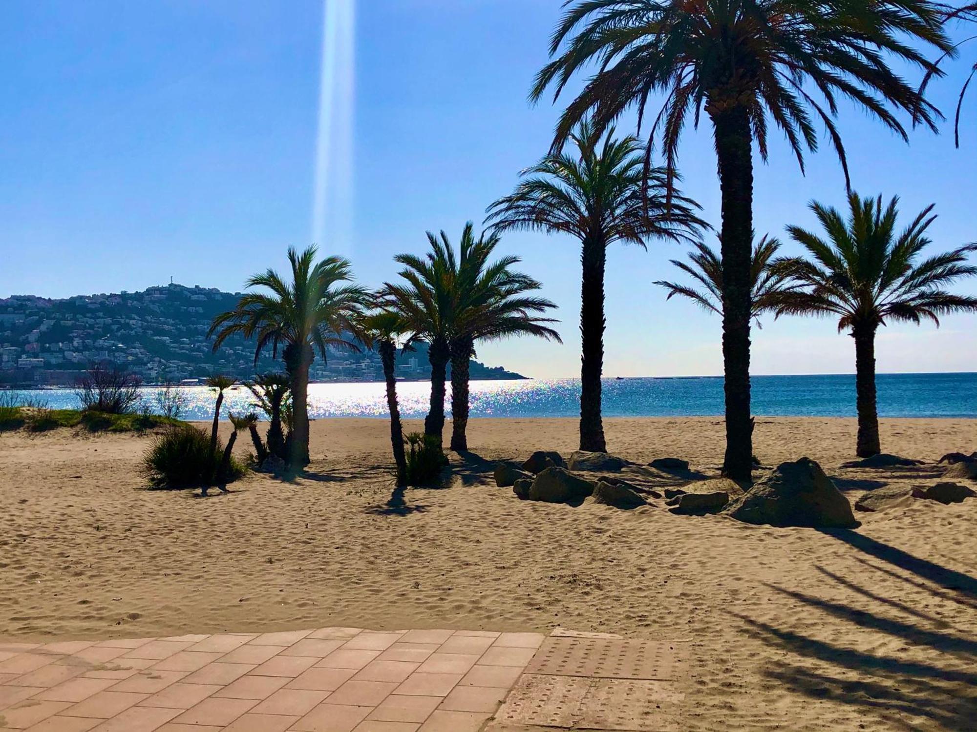 Studio Roses Beach Dış mekan fotoğraf